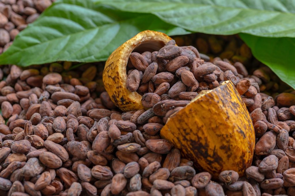 О компании cocoa beans and cocoa fruits on wooden, cocoa concept